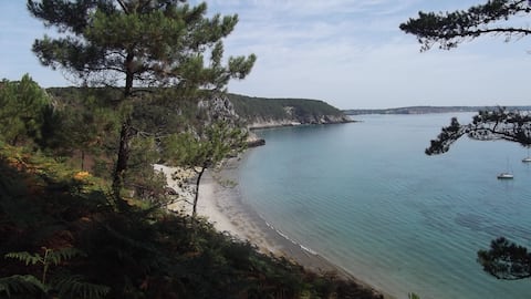 Successful Airbnb property: 5-person apartment in a big house in Crozon