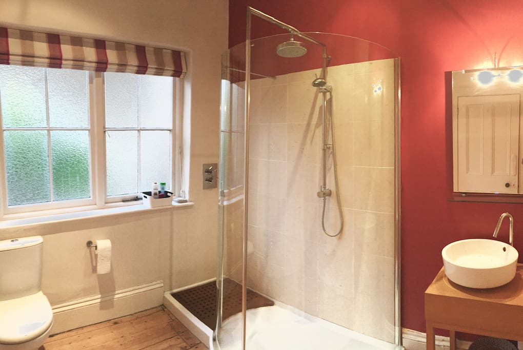 Bathroom with walk in shower, toilet, basin and cupboards