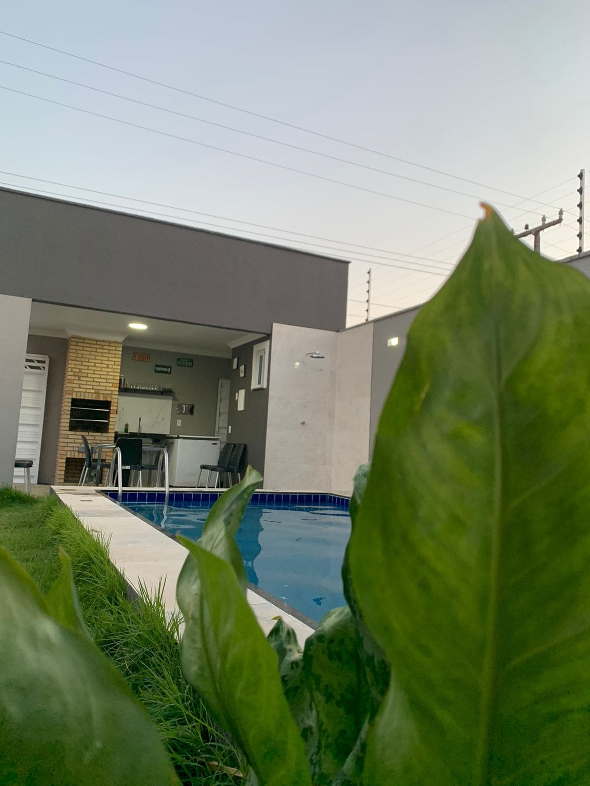 A glimpse of the outdoor area is provided, featuring a sparkling pool surrounded by green grass. The view is framed by lush plants, showcasing the modern kitchen and dining space visible through the open door at the far end.