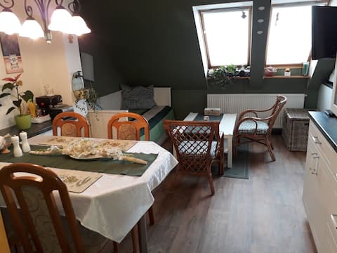 Attic with a beautiful Spilberk castle view