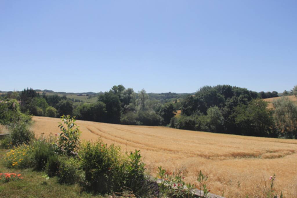 View from the house