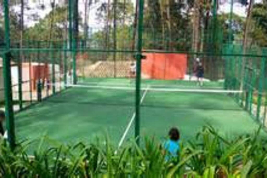 canchas de paddle