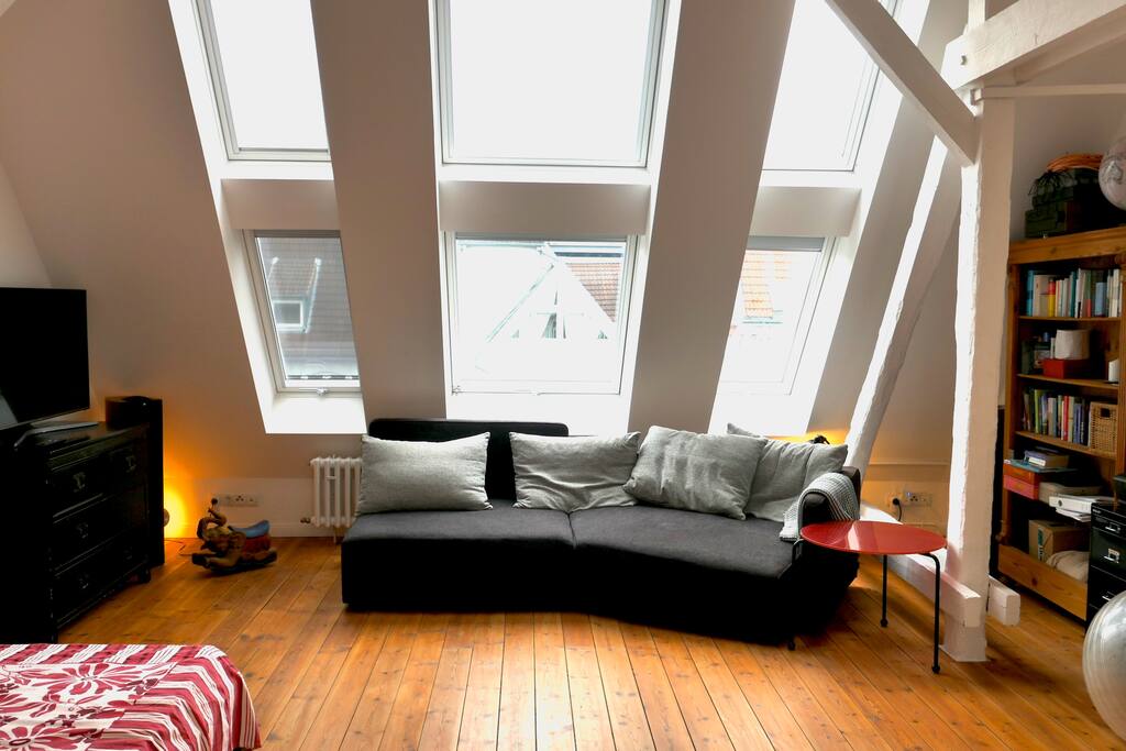 livingroom large sofa