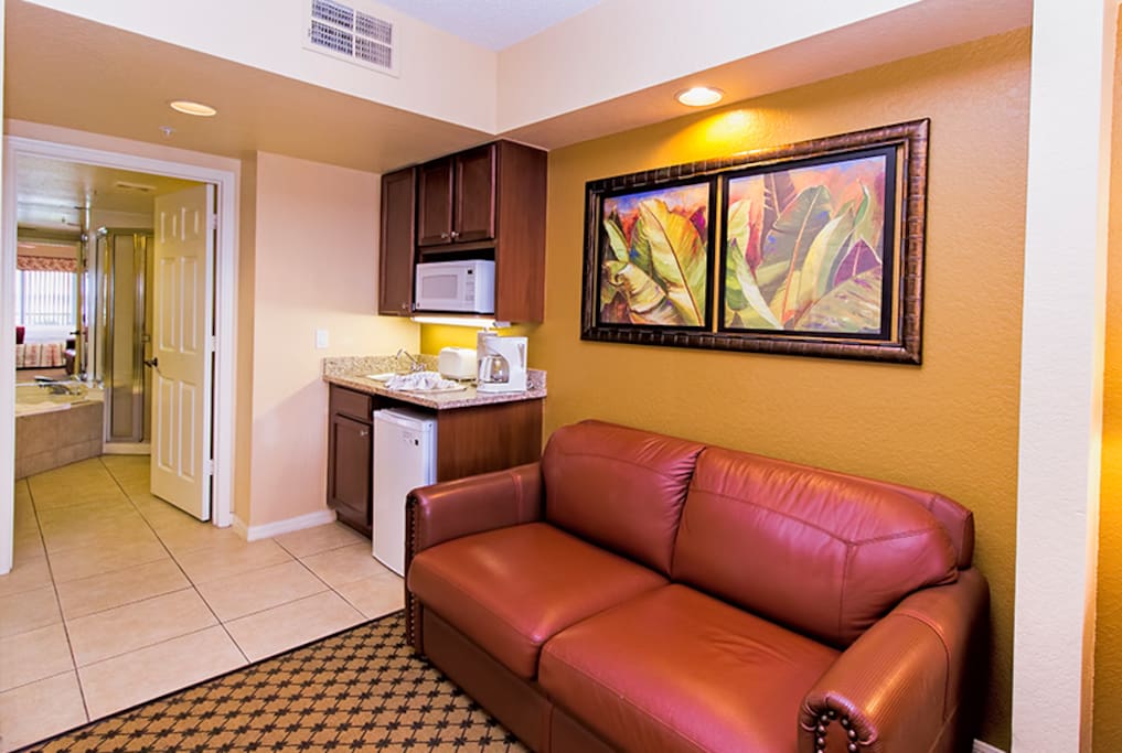 Queen size sofa bed, kitchenette
