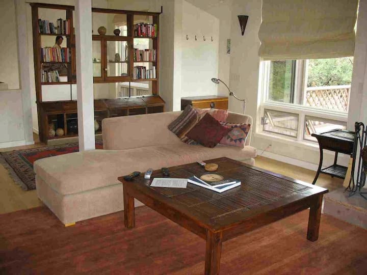 Agave House - Secluded In Nature - Silver City, NM