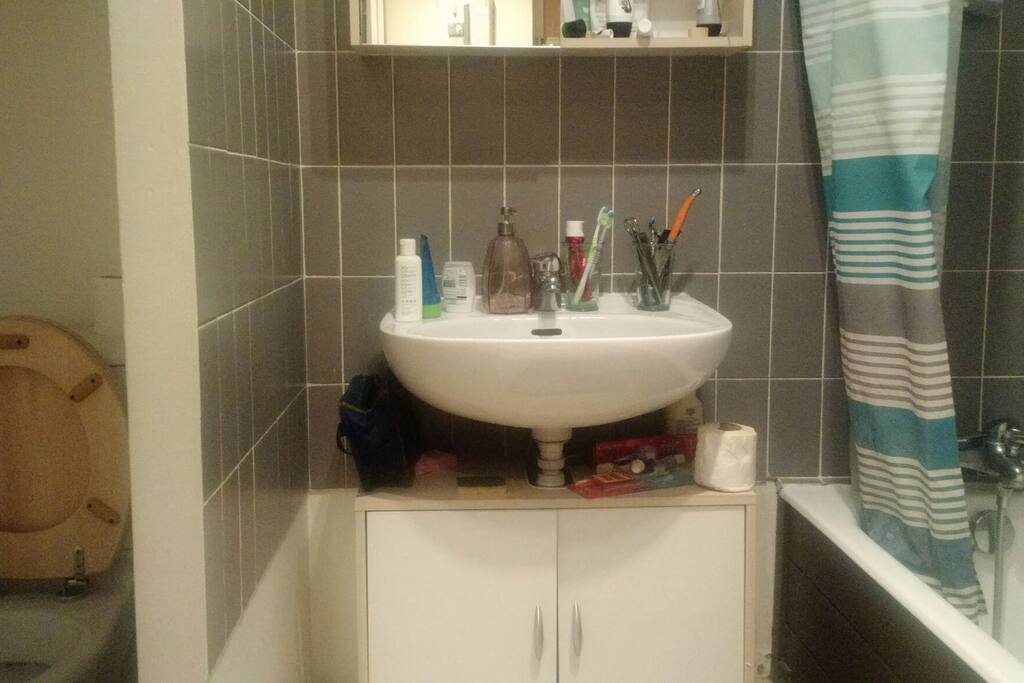 Salle de bain avec baignoire