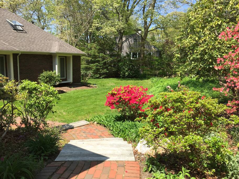 Springing to life, May, 2016