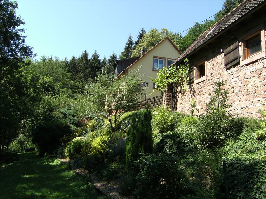 Vue sur le massif floral