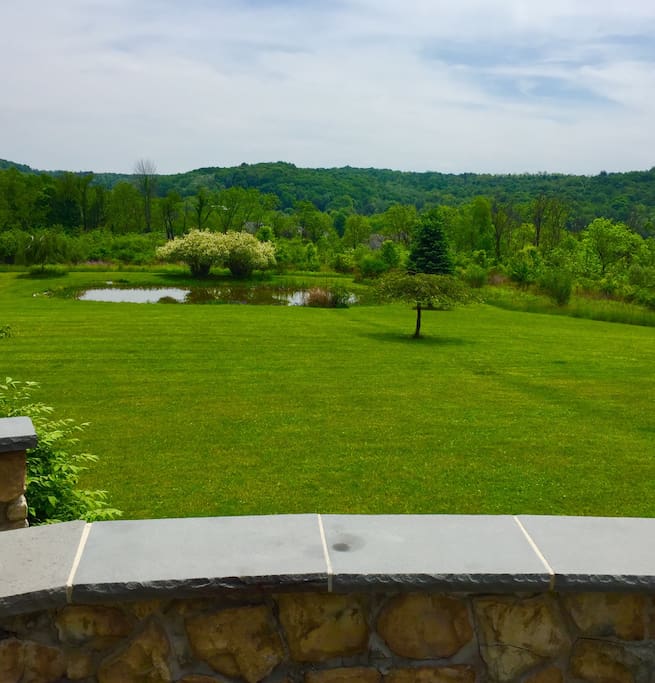 Beautiful views with deer visiting daily to drink from the pond.