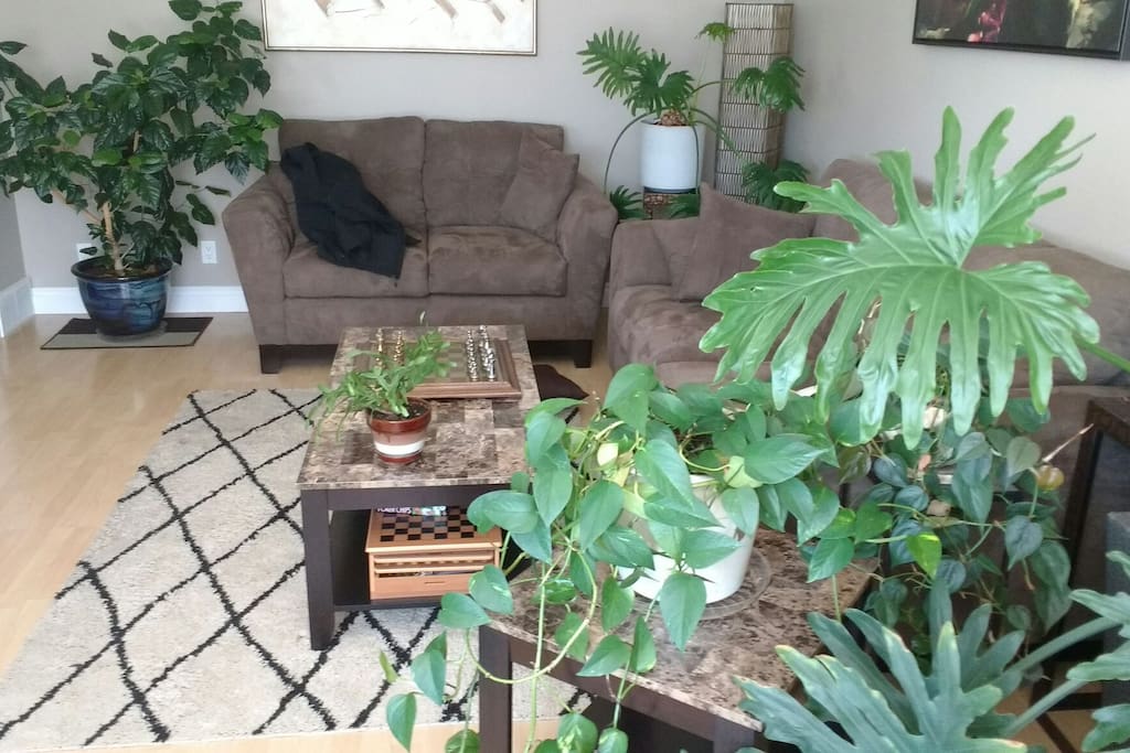 The living room area that may be used by guests