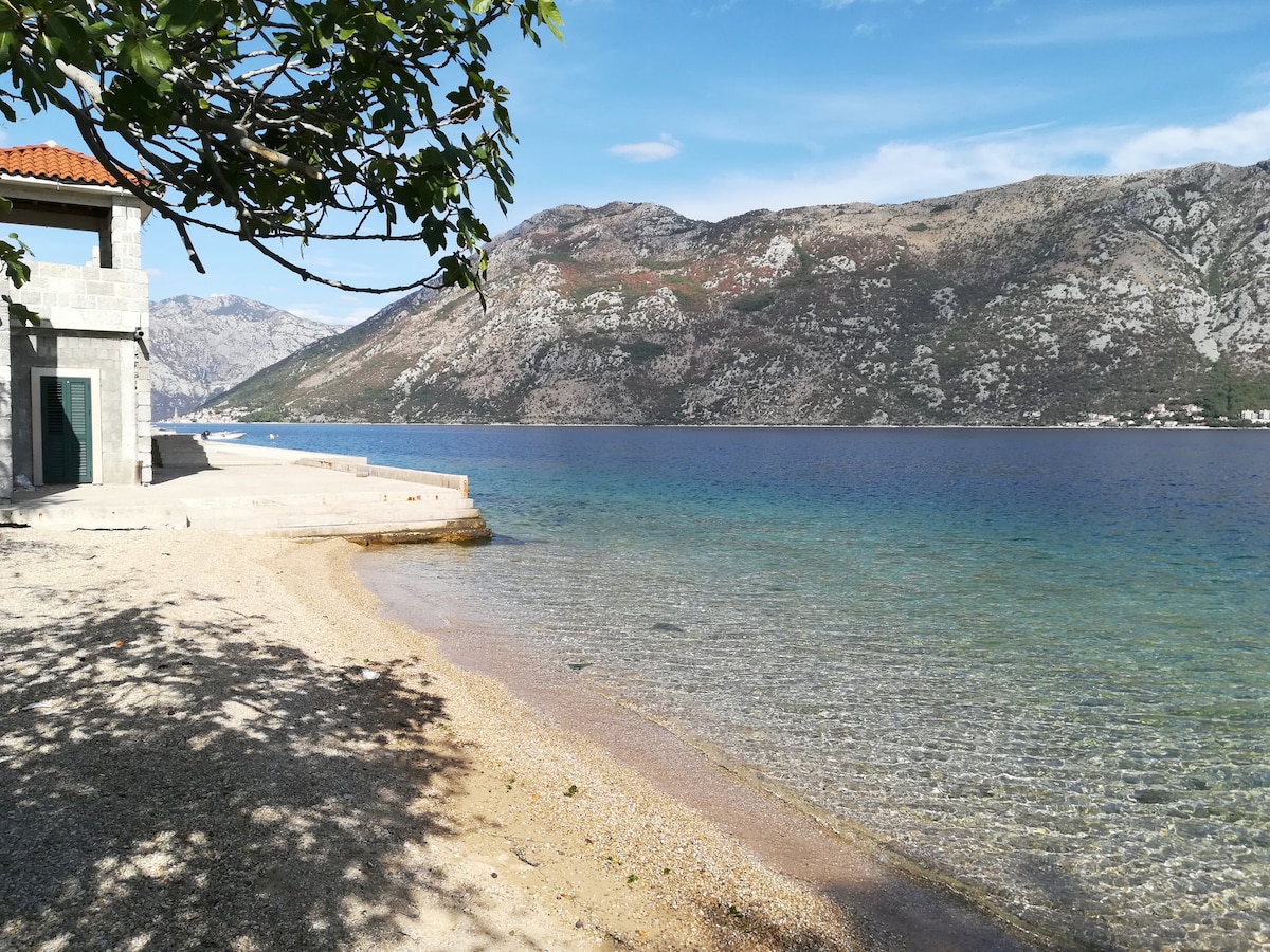 A serene sandy beach stretches along the clear waters of the Adriatic Sea, reflecting shades of blue and green. The surrounding mountains rise gently in the background, creating a peaceful natural setting. A tree branches into the frame, offering a hint of shade.