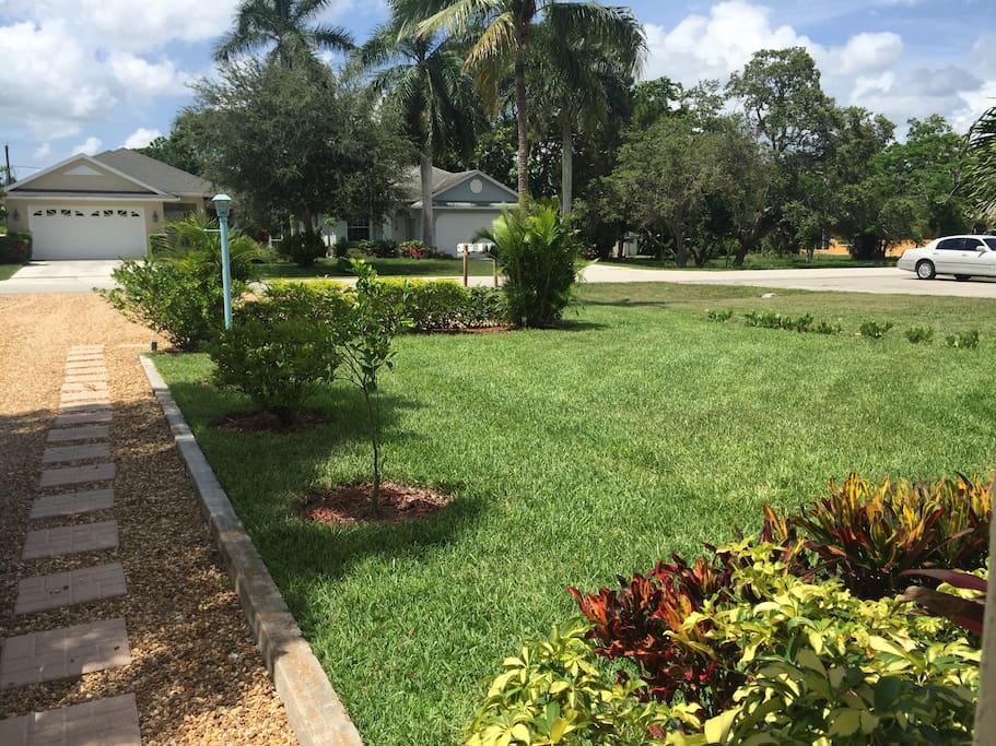 Front yard
