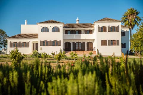 Large private villa with pool and close to the sea!