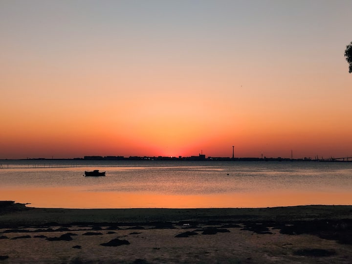 La Tazita De Plata 2 - Cádiz