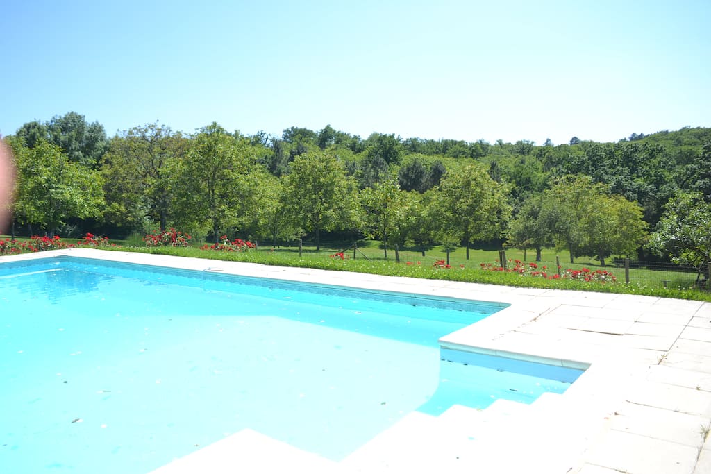 Piscine partagée
