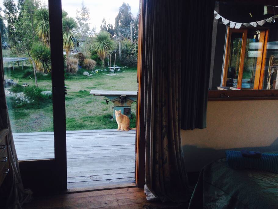 Looking north from your room.