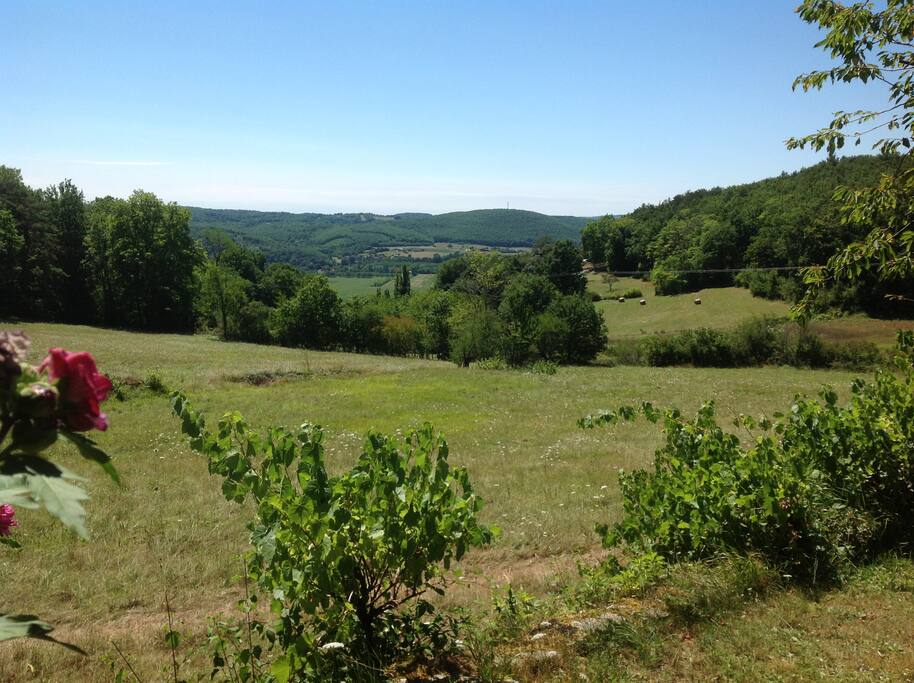 vue du jardin en face de la terrasse