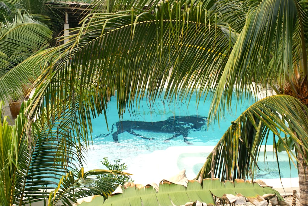 Pool area