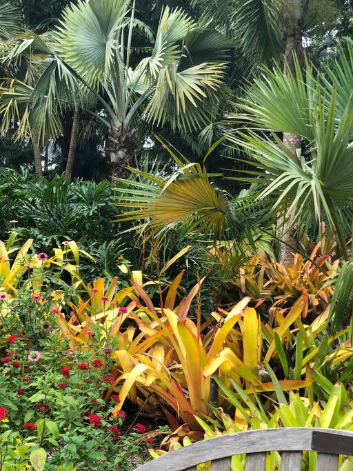 Parc d hyeres