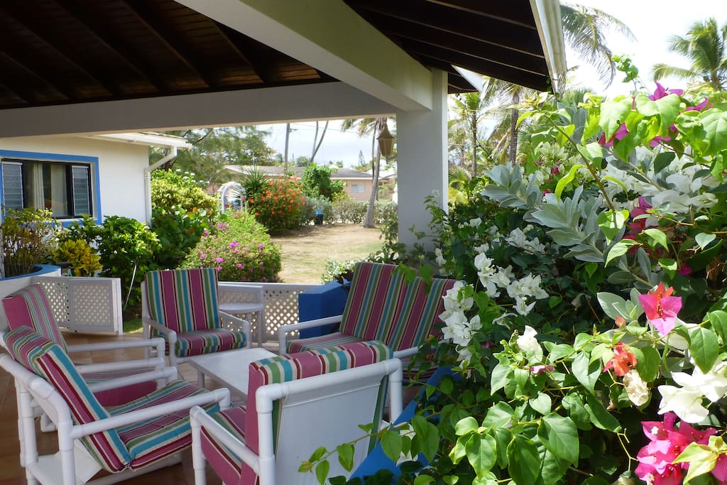 Mature garden.