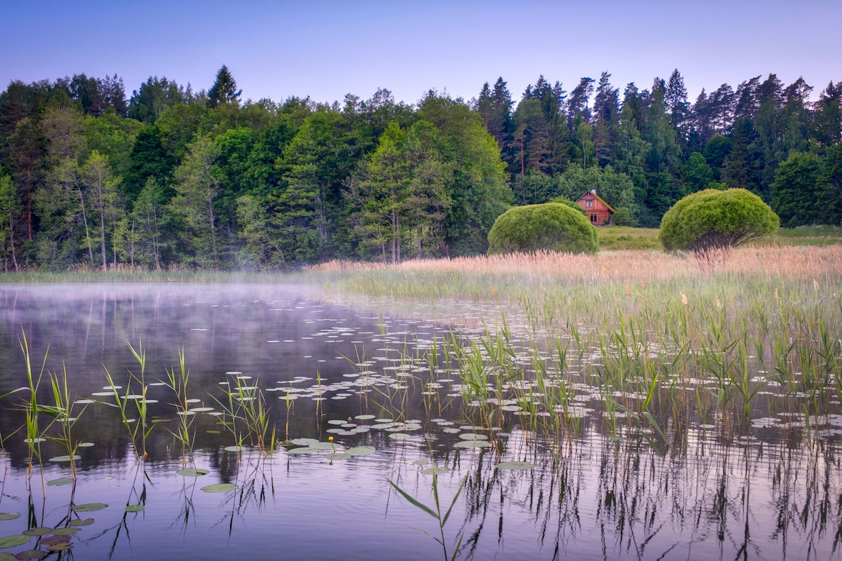A tranquil scene displays a serene lake surrounded by lush greenery. Mist hangs above the water, reflecting the soft colors of dawn. A charming red cottage is visible in the background, framed by trees and bushes, adding to the peaceful atmosphere of the natural setting.