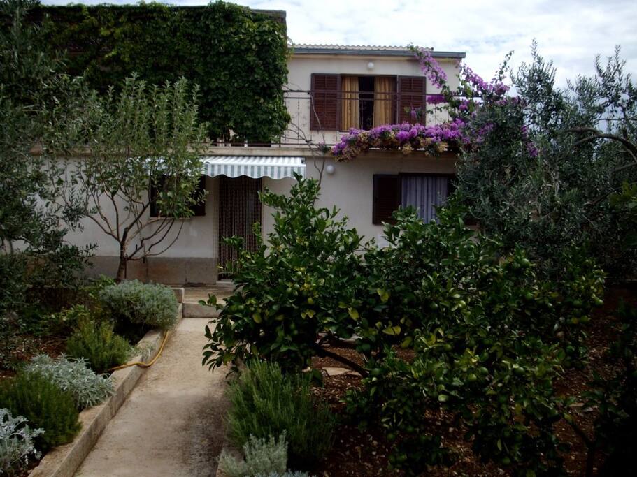 house