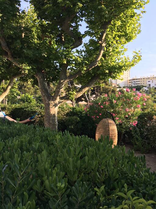 Vue depuis le salon de jardin