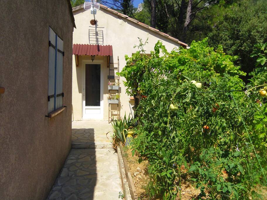 le chemin d’accès au cabanon en partant du SPA