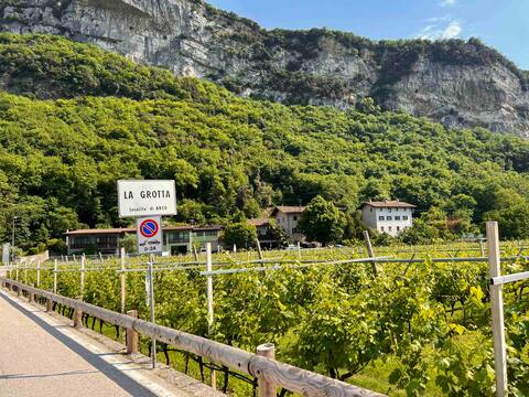 G-House Vineyard idyll with gorgeous mountain view