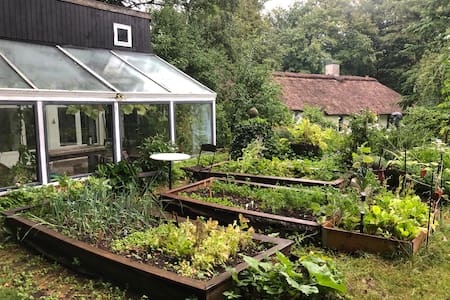 Det lille hus i skoven.
Åbent fra april til nov.