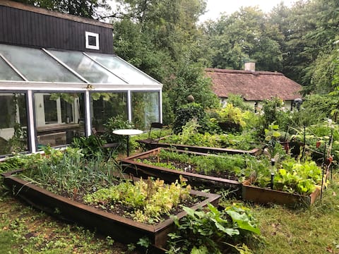 Det lille hus i skoven.
Åbent fra april til nov.