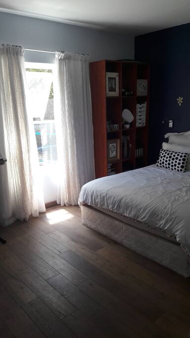 Downstairs bedroom