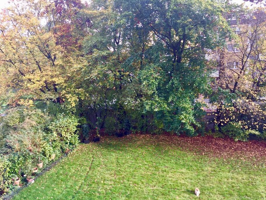Garden view