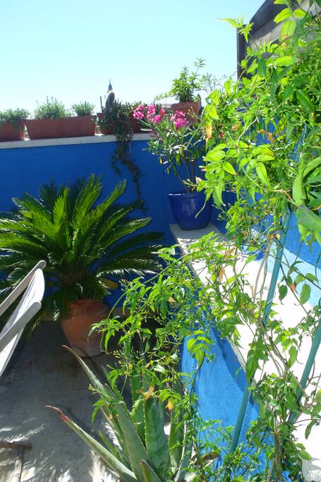 terrasse