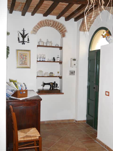 Annuncio Airbnb popolare: Casina in Montescudaio a Montescudaio