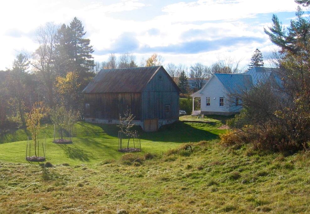 View of house from the back