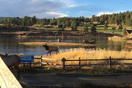 Kittredge Guest Suite