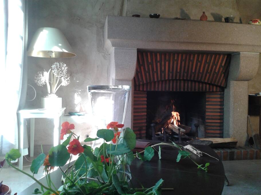 Salon canapé, au coin du feu