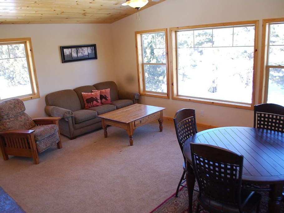 Relax with nature in the living room. The coach folds out into a bed.