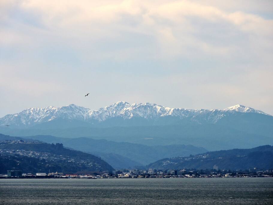 A beautiful view during the winter