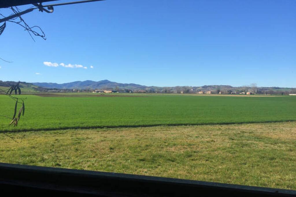 VIEW FROM THE LIVING ROOM