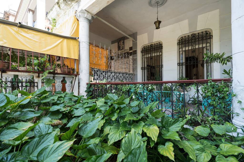 Jardín de la terraza