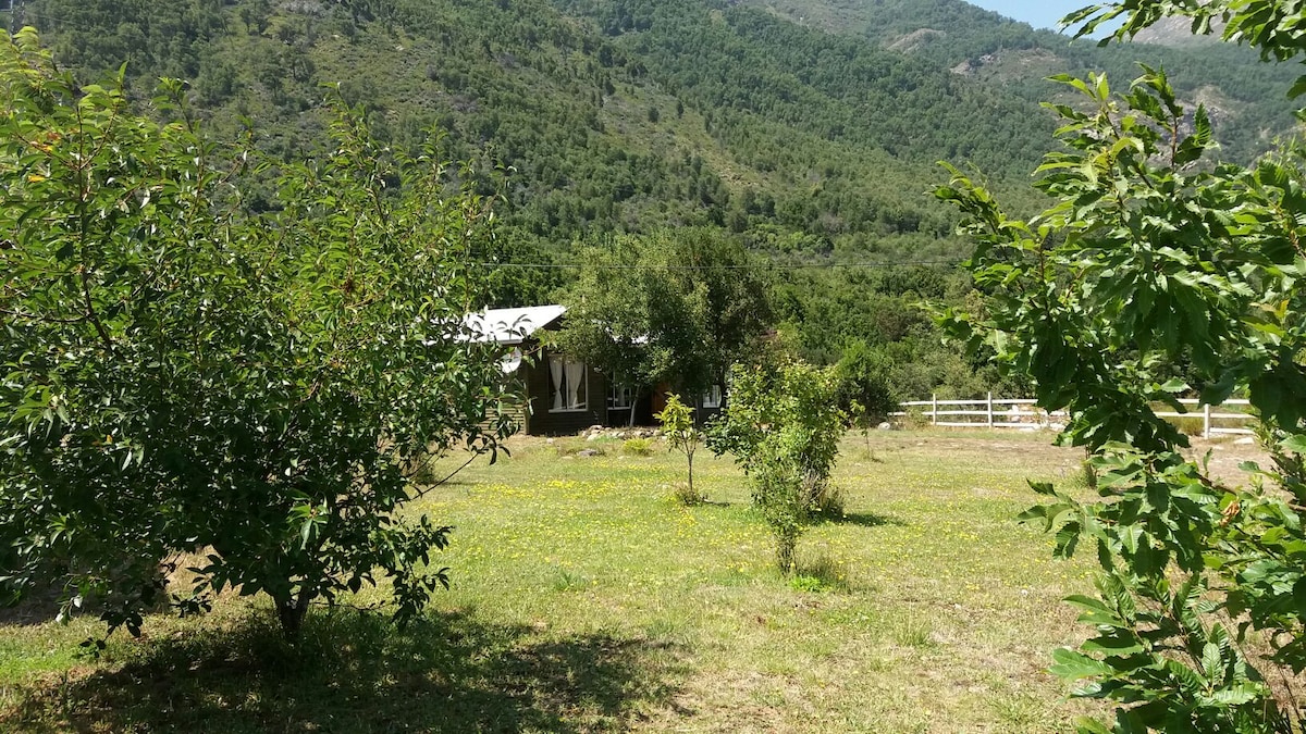 A serene outdoor area is presented, featuring a grassy field dotted with yellow wildflowers. Small trees surround the space, offering greenery against a backdrop of rolling hills and distant mountains, which create a sense of tranquility and connection to nature.