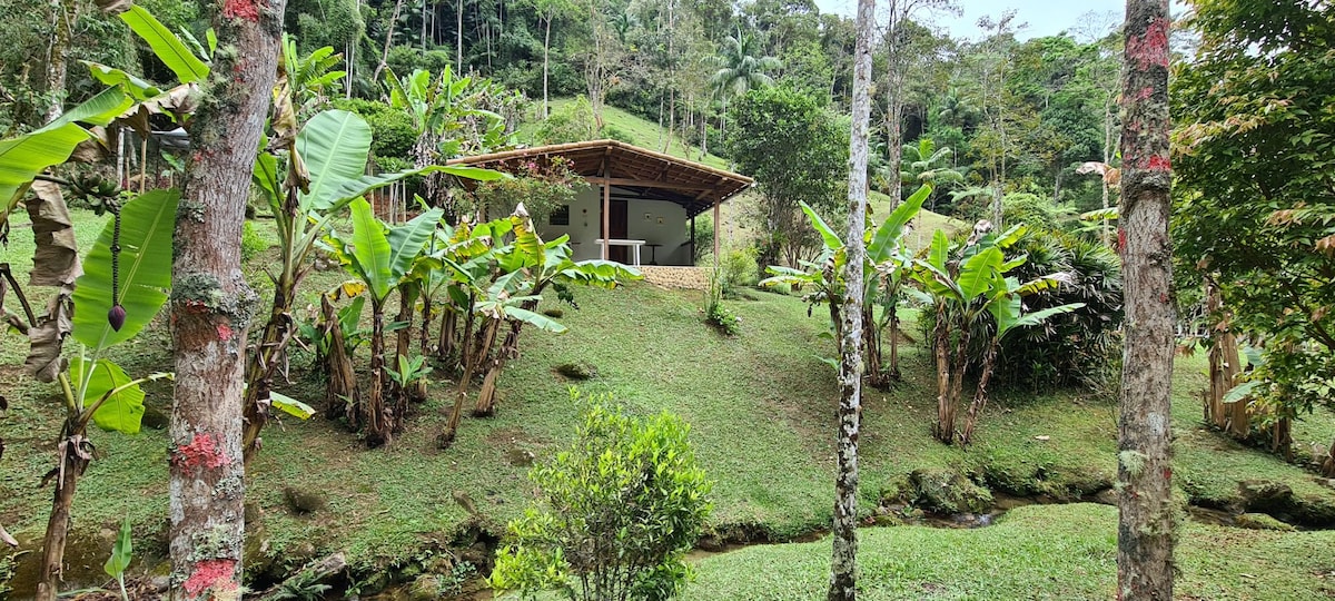A charming wooden structure sits nestled among lush green hills, surrounded by tropical vegetation. Banana and palm trees line the area, providing shade and greenery. A clear stream flows gently in the foreground, enhancing the serene natural setting.