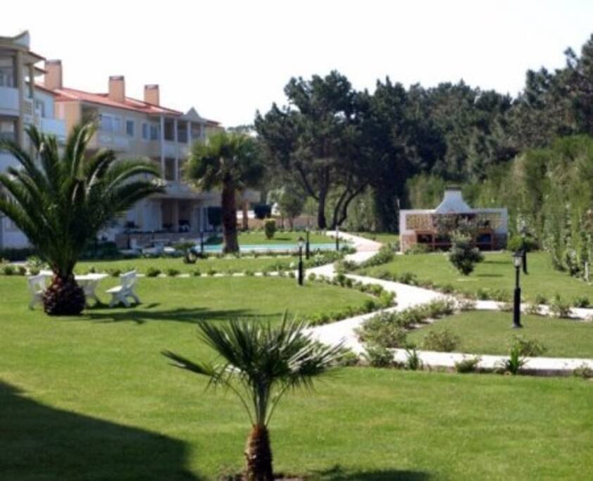 the garden