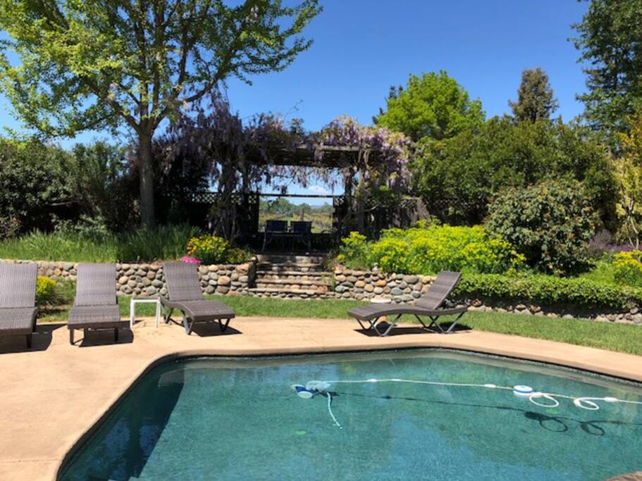 Pool and Terrace