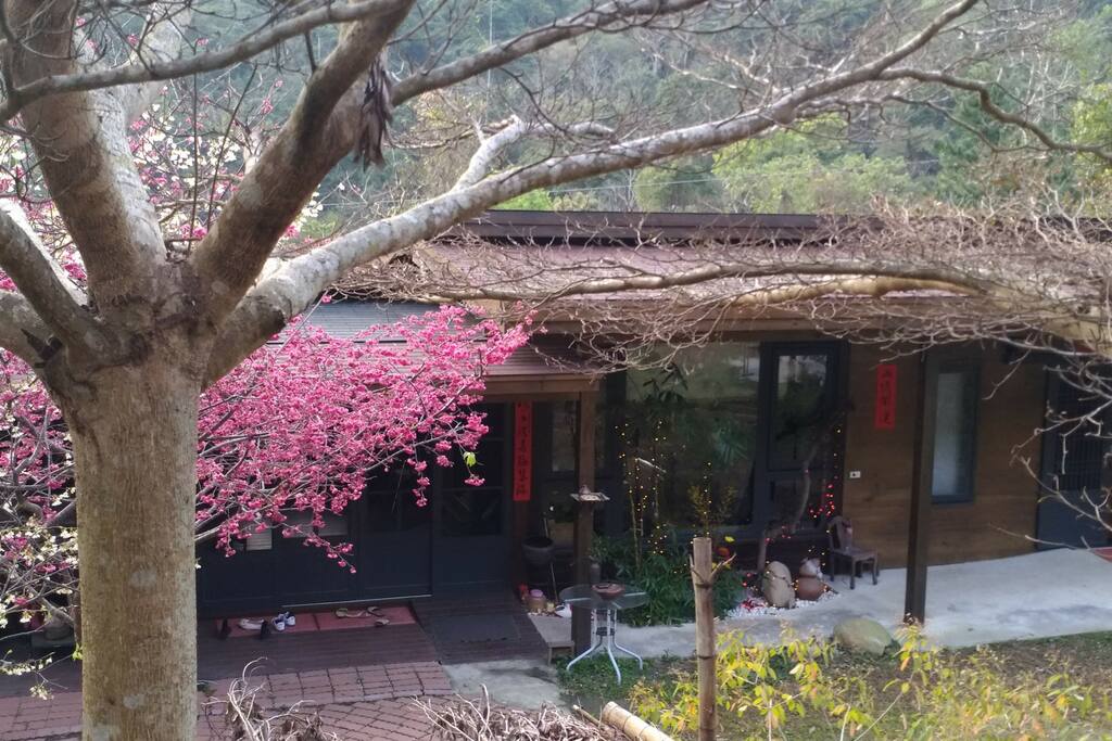 由上俯瞰