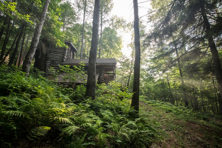 Off the grid cabin in the Green Mountains