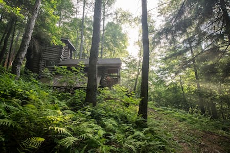 Off the grid cabin in the Green Mountains