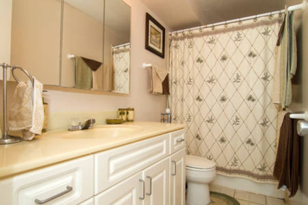 Fully remodeled bathroom